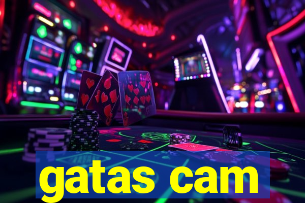 gatas cam